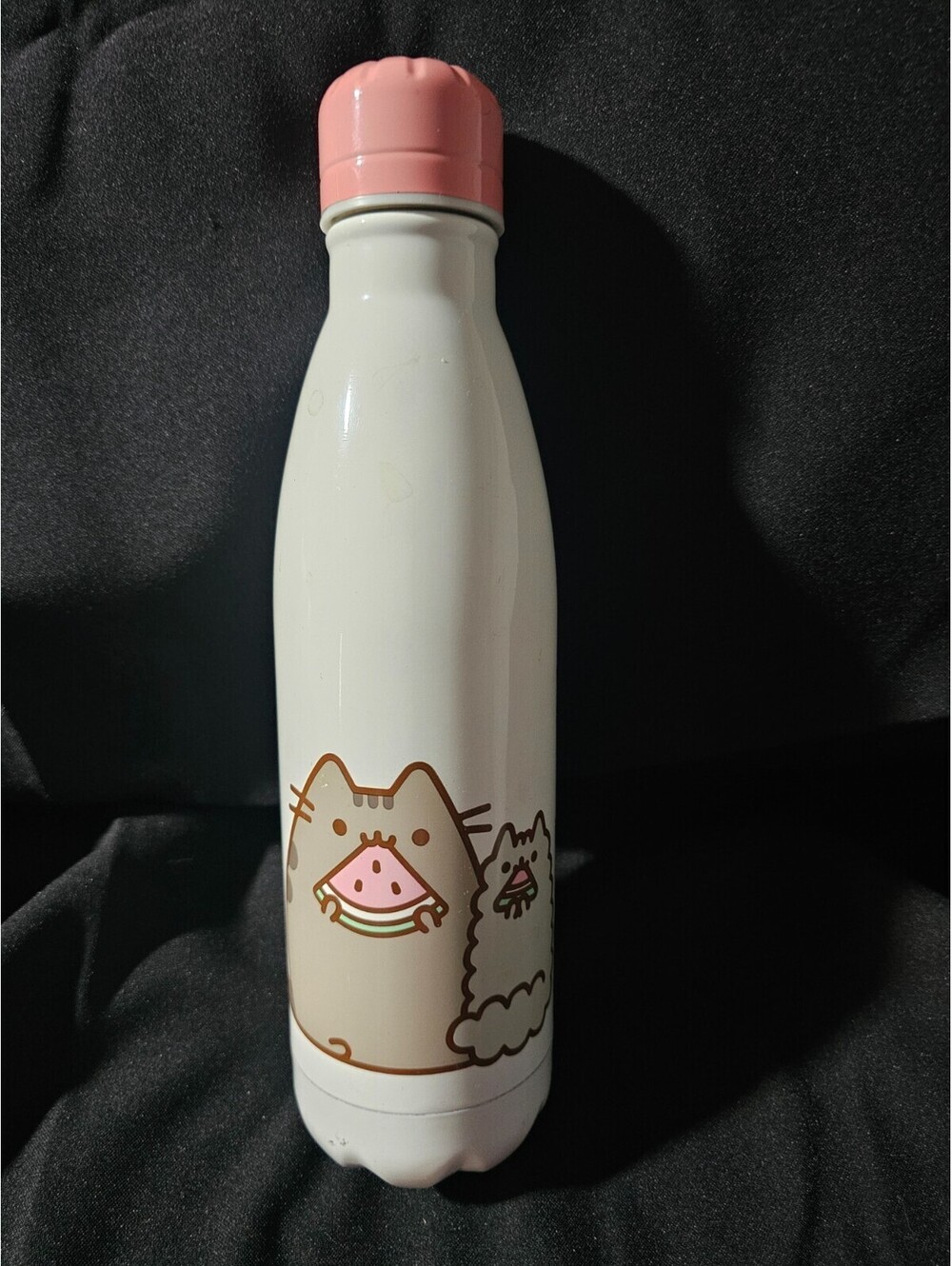 Pusheen Stainless Steel Water Bottle Spring 2018 Cat Kitten Watermelon 10.5"